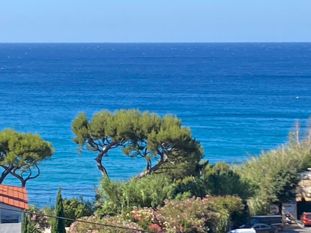 Face A La Mer, Cassis Et Son Cap Canaille エクステリア 写真